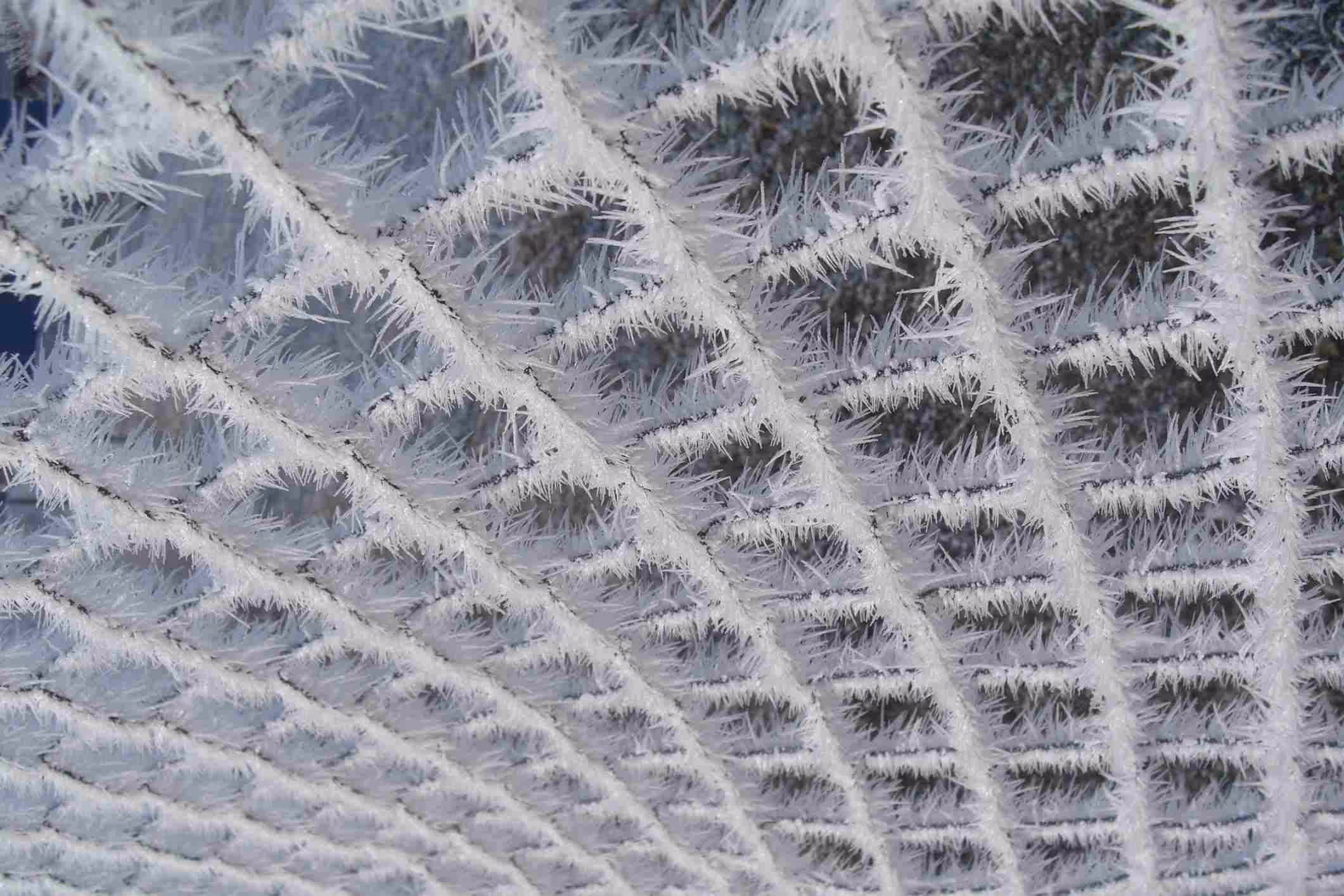 mesh image