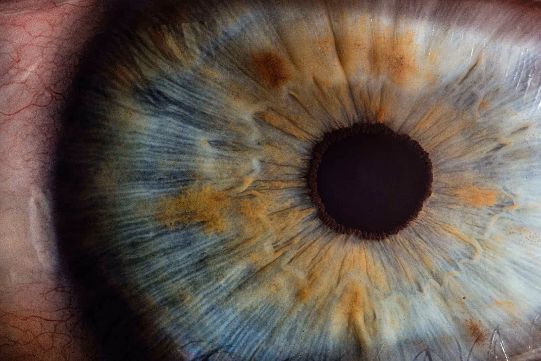 close-up of human eye