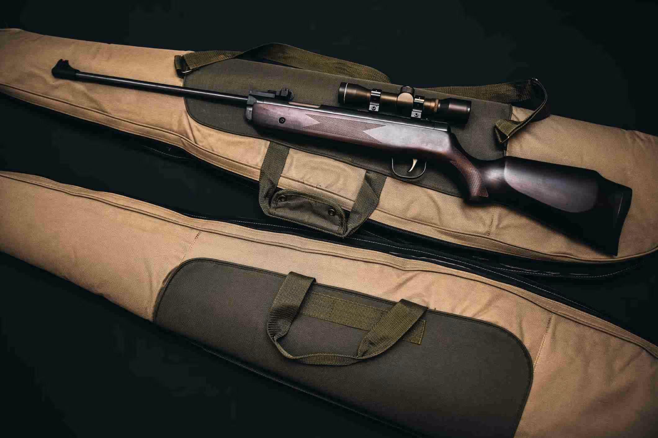 hunting rifle