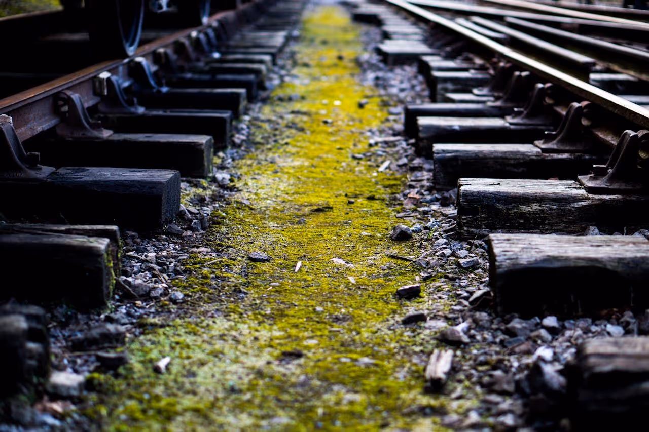 photo of railroad tracks coated with creosote