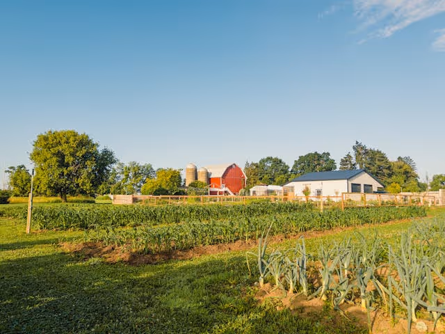 House and crops on a small farm