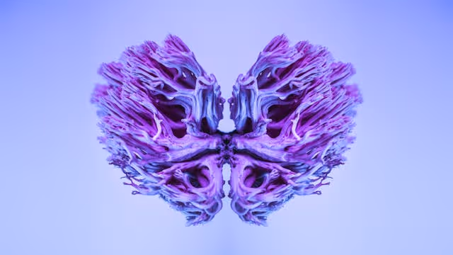a graphic of lungs