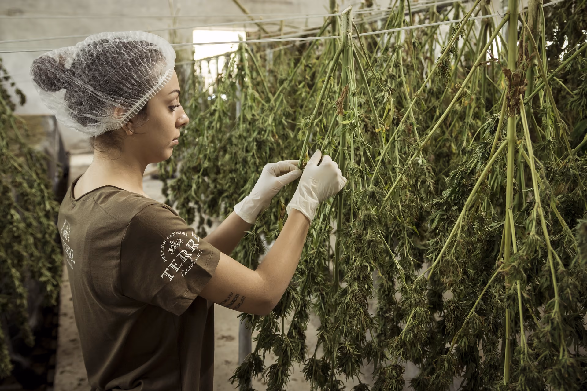 CIncinnati, Ohio Class Action Lawyer filing marijuana dispensary robocall claims & reviewing unwanted texts and TCPA violations.