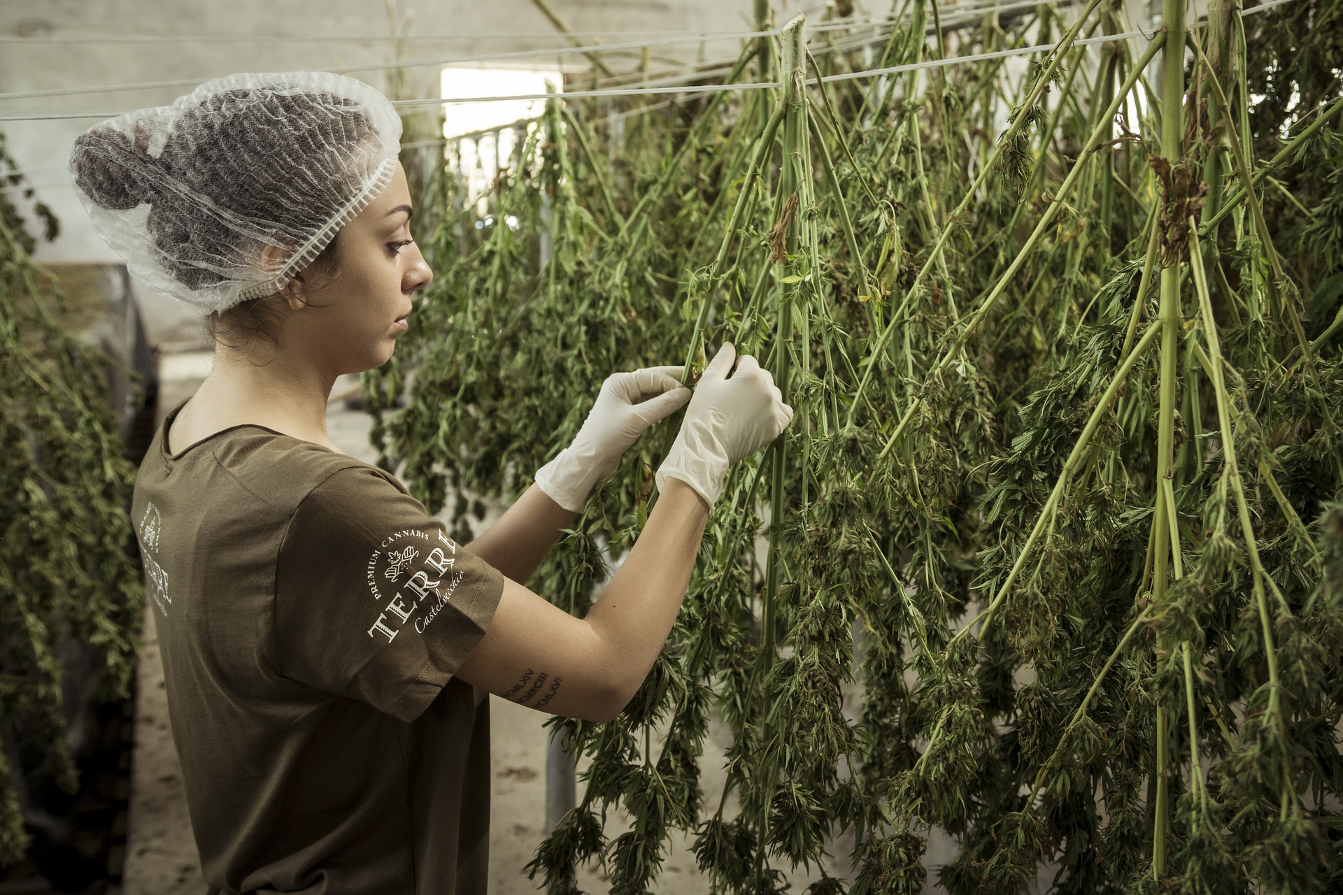 CIncinnati, Ohio Class Action Lawyer filing marijuana dispensary robocall claims & reviewing unwanted texts and TCPA violations.
