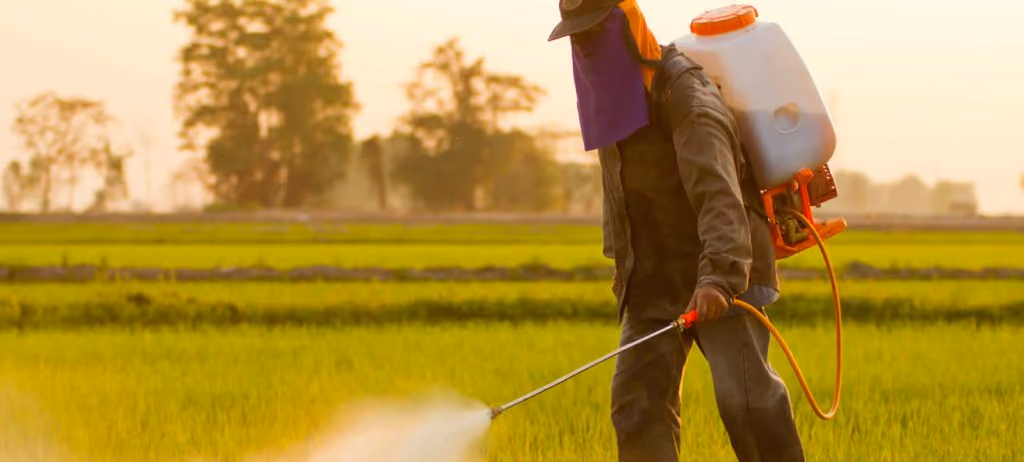 Learn about diquat herbicide risks, Parkinson’s disease links, and potential lawsuits. Explore how diquat litigation could evolve.
