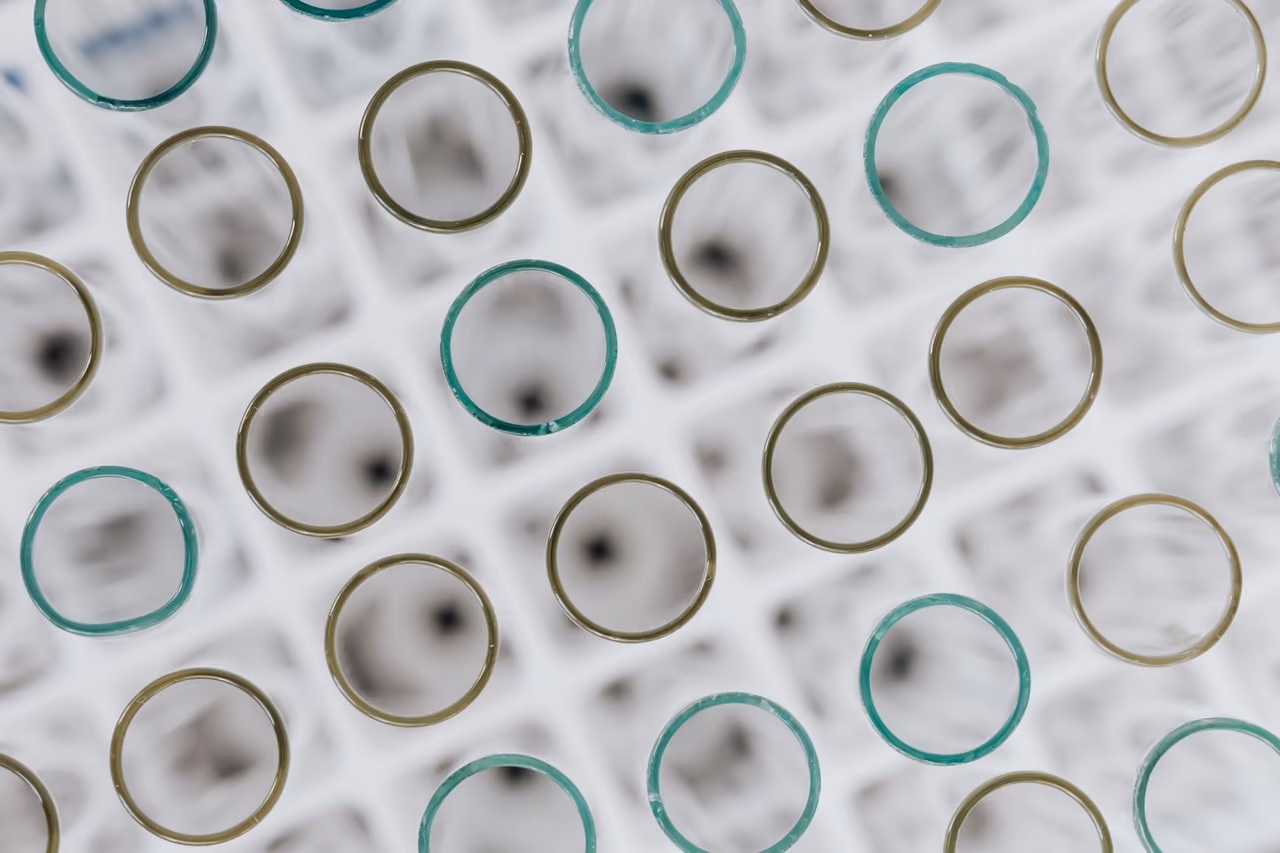 The Lyon Firm represents a Louisiana couple in a lawsuit alleging STL Fertility mishandled and lost 22 eggs retrieved for IVF treatment.