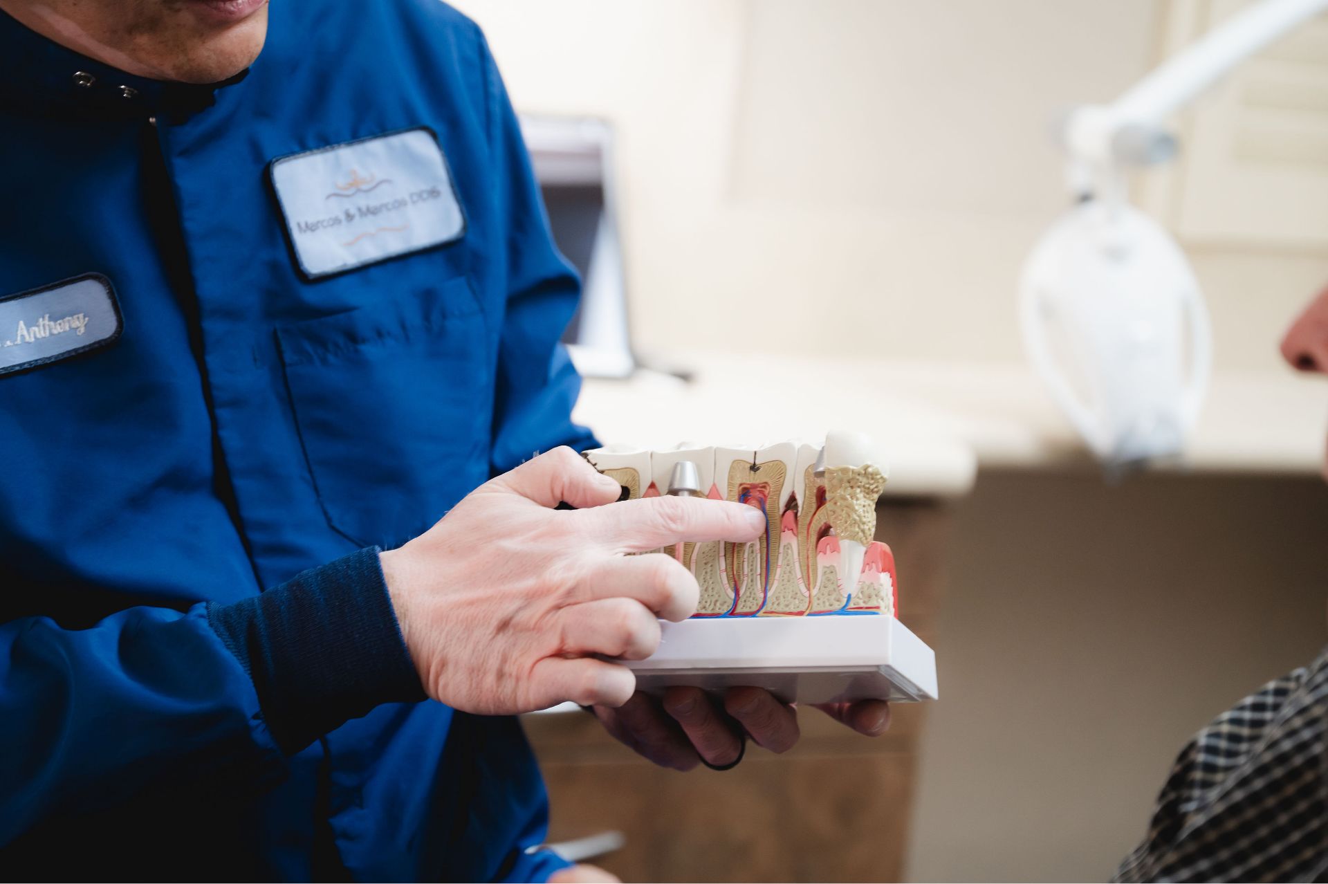 Dentist in blue coat showing a dental tooth anatomy model to a patient.