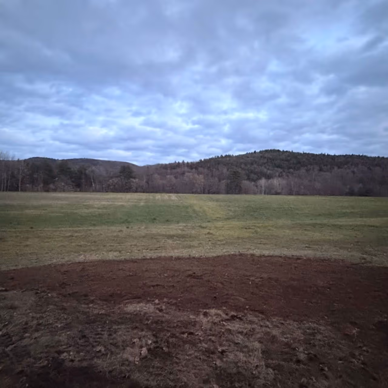 Light excavation and trenching services by Gray's Property Maintenance