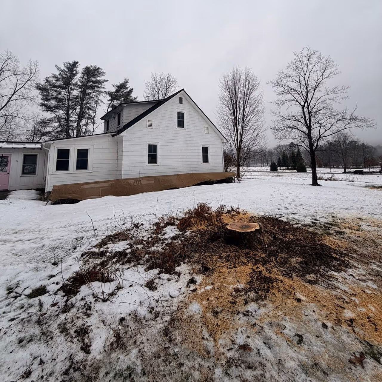 Safe and professional tree removal service for residential properties near me by Gray's Property Maintenance