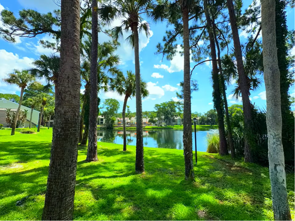Lake photo
