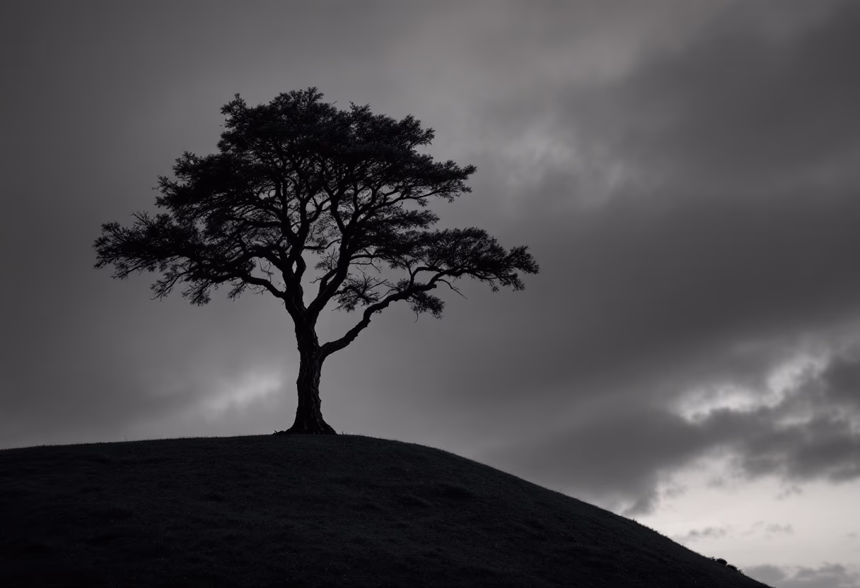 image of an inspiring natural landscape (for a film production company)