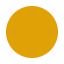 Solid orange circle on white background.
