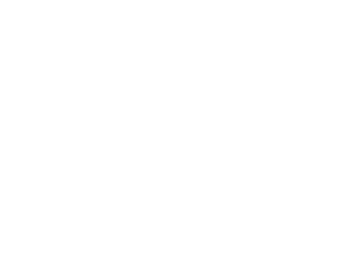 Shake-It