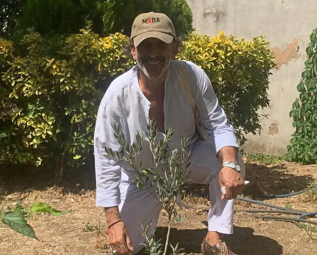 Kevork Malikyan’dan Tıbrevank’a Zeytin Ağacı Hatırası