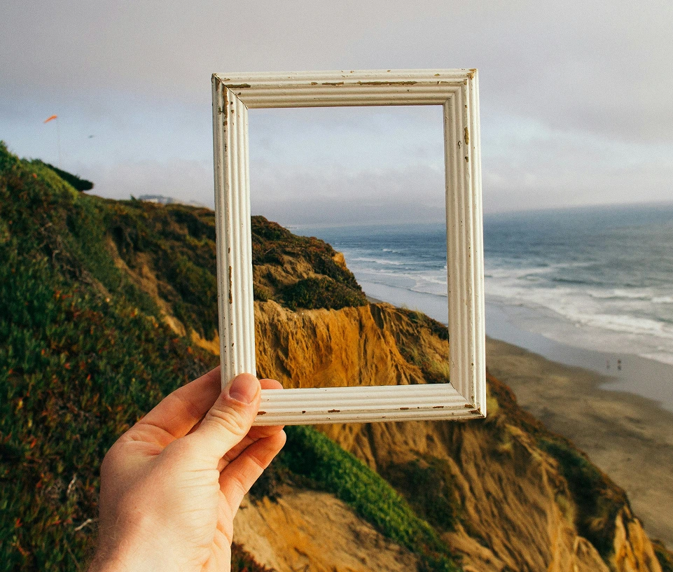 Vertora-license-image