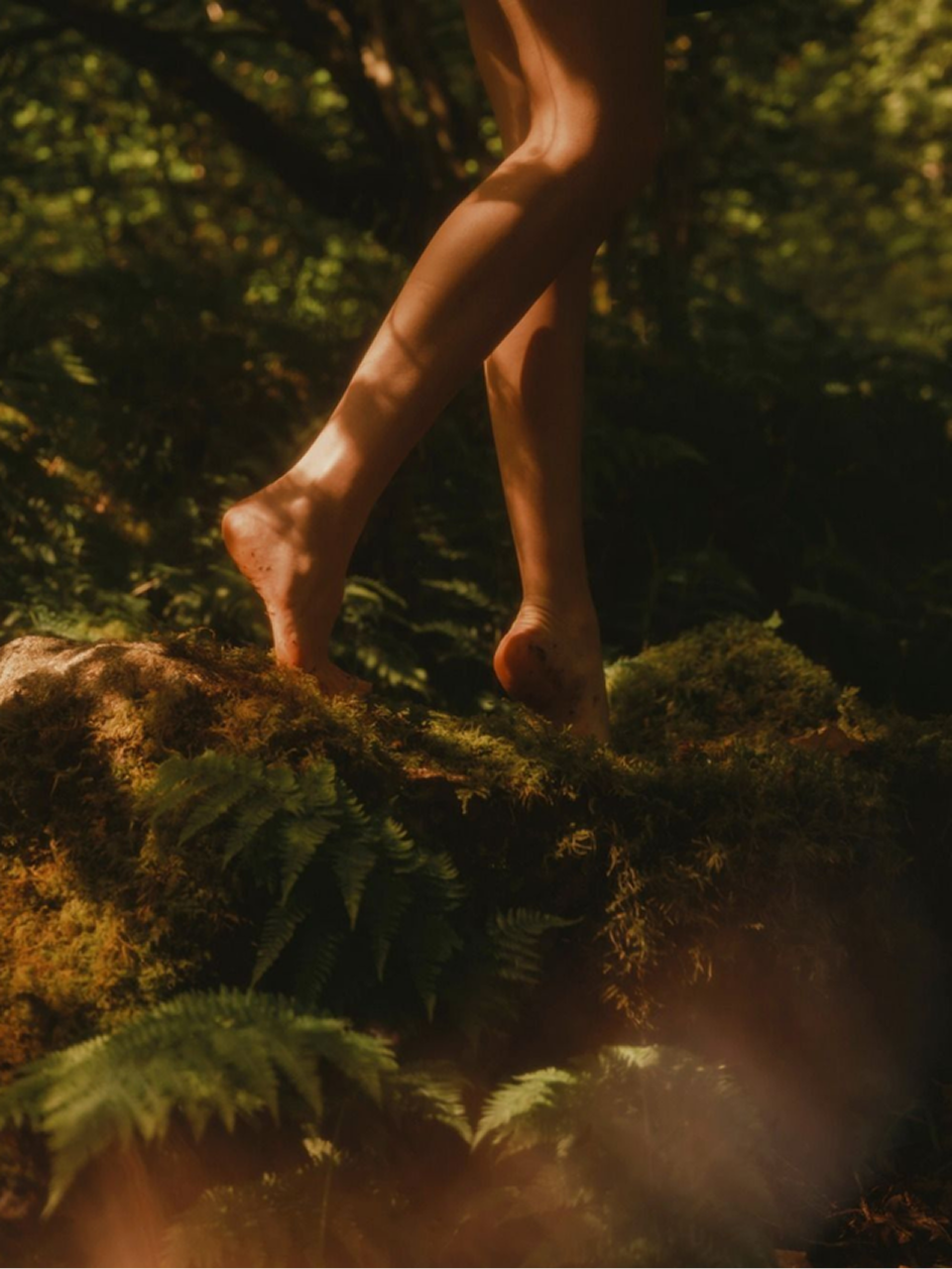 Bare feet walking on moss and rocks in a sunlit forest with green ferns around.