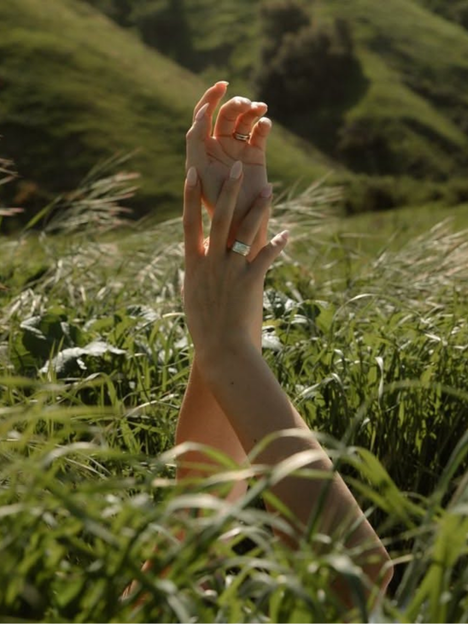 Two hands with rings gently touching amid tall green grass in a sunlit natural setting.