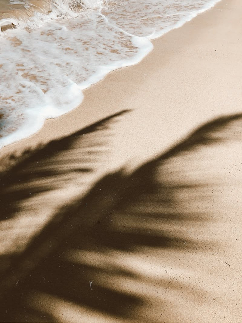 Shadow of palm leaves cast on sandy beach near white ocean waves.