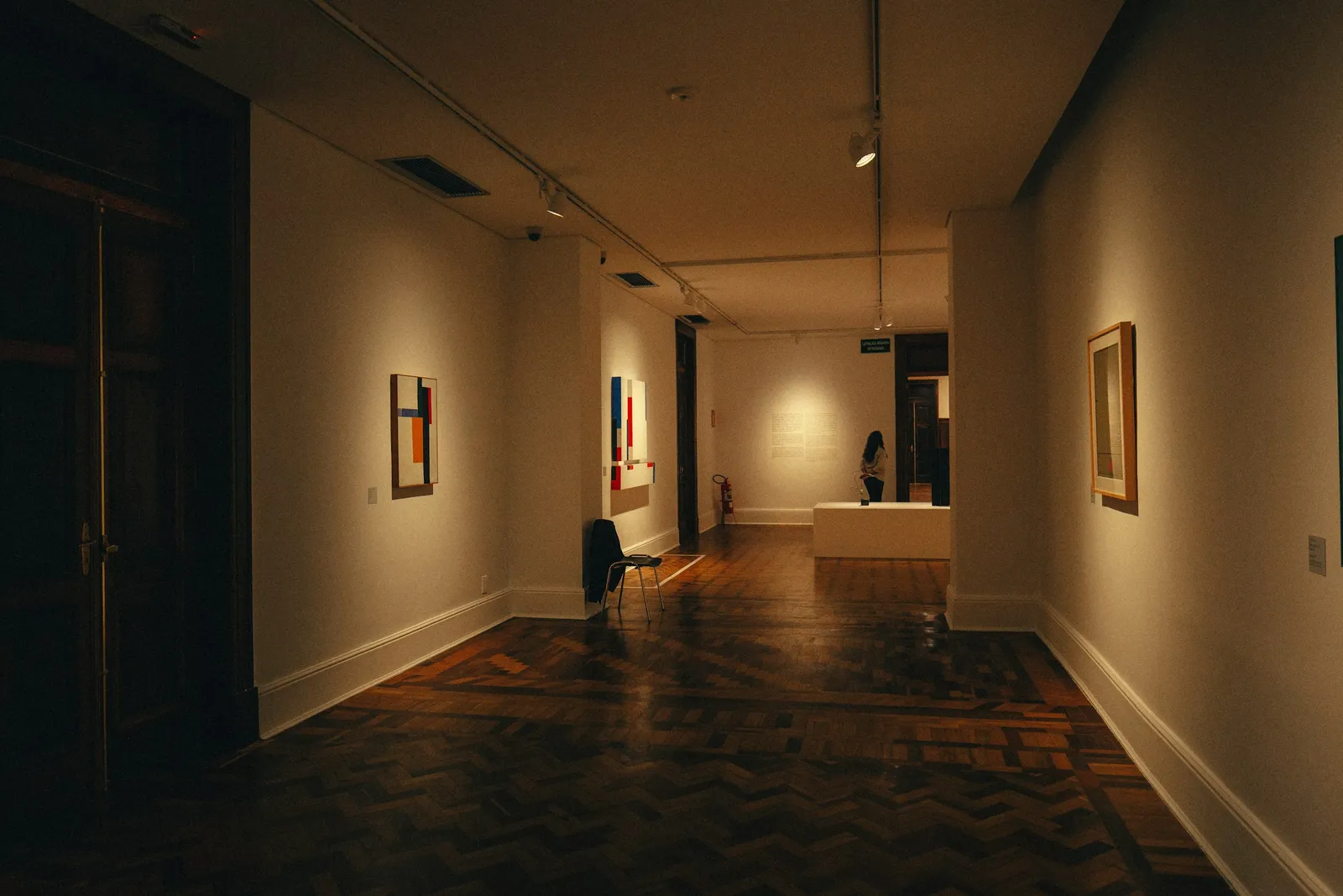 Vija Celmins