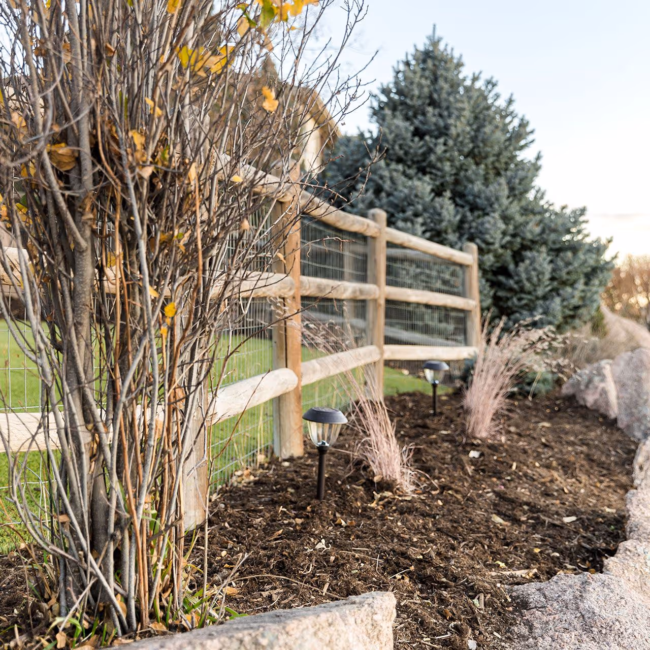 Professional lawn care and turf installation by Front Range Outdoor Solutions near me in Fort Collins