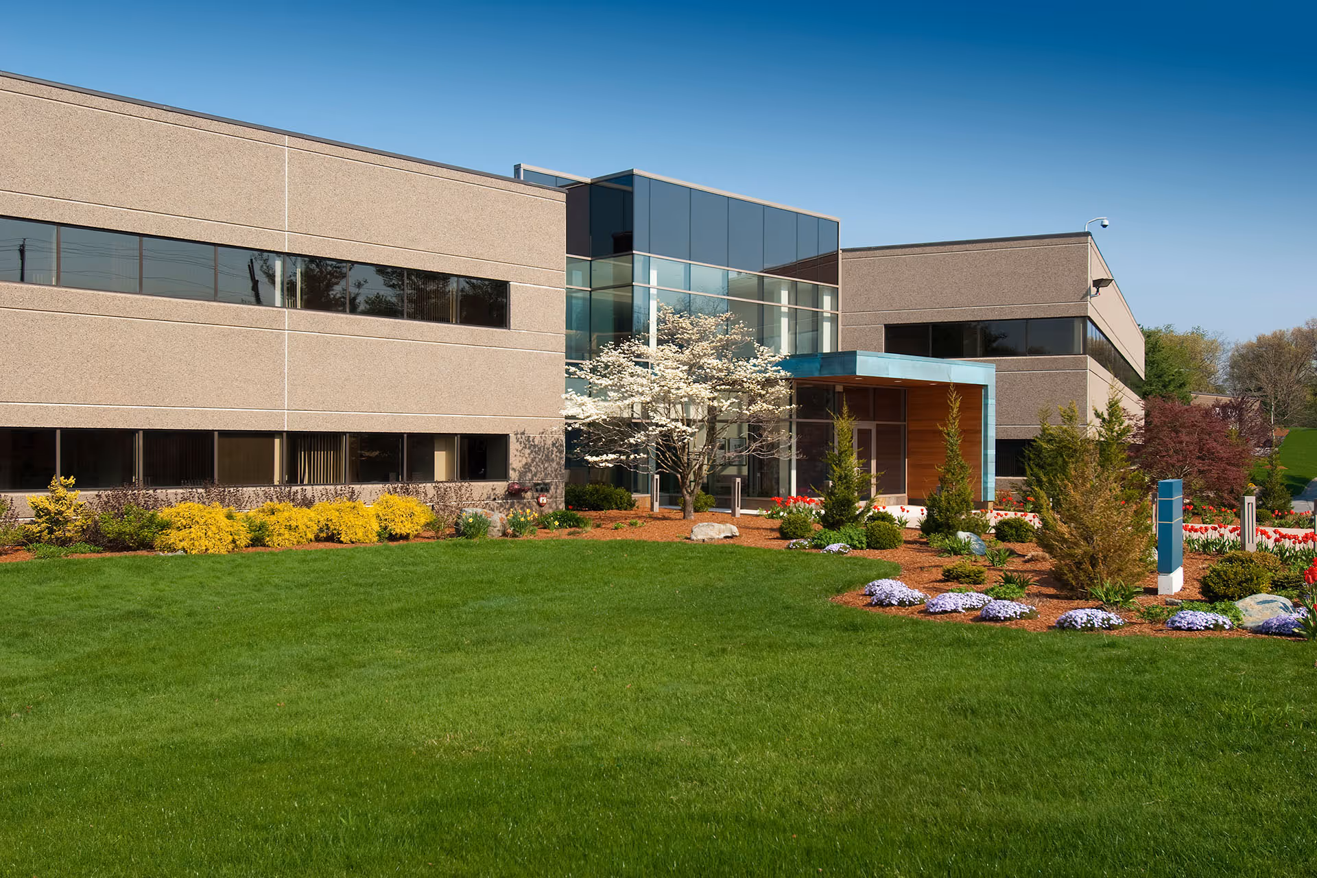 Full service commercial property maintenance including mowing edging and cleanup Northern Colorado