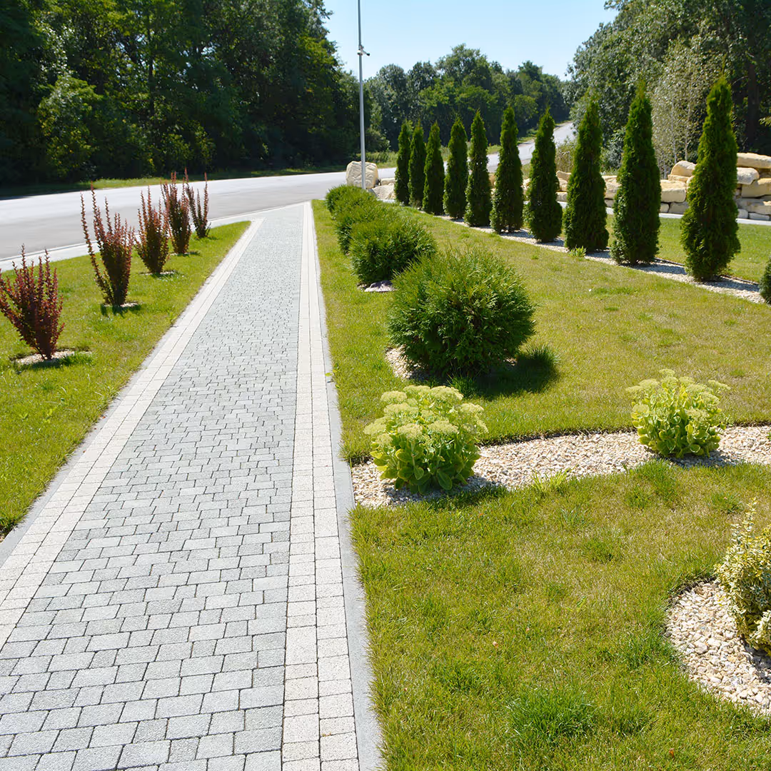 Commercial lawn care and landscape maintenance near me Northern Colorado