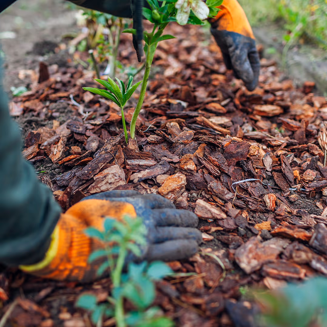Professional mulch installation in Northern Colorado by Front Range Outdoor Solutions