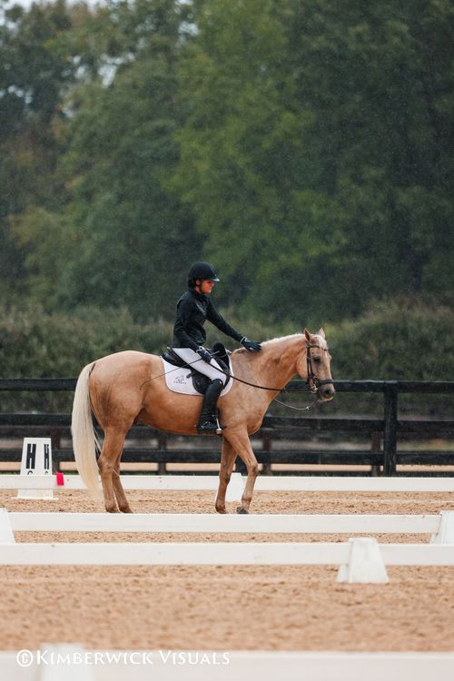 image of volunteers with animals