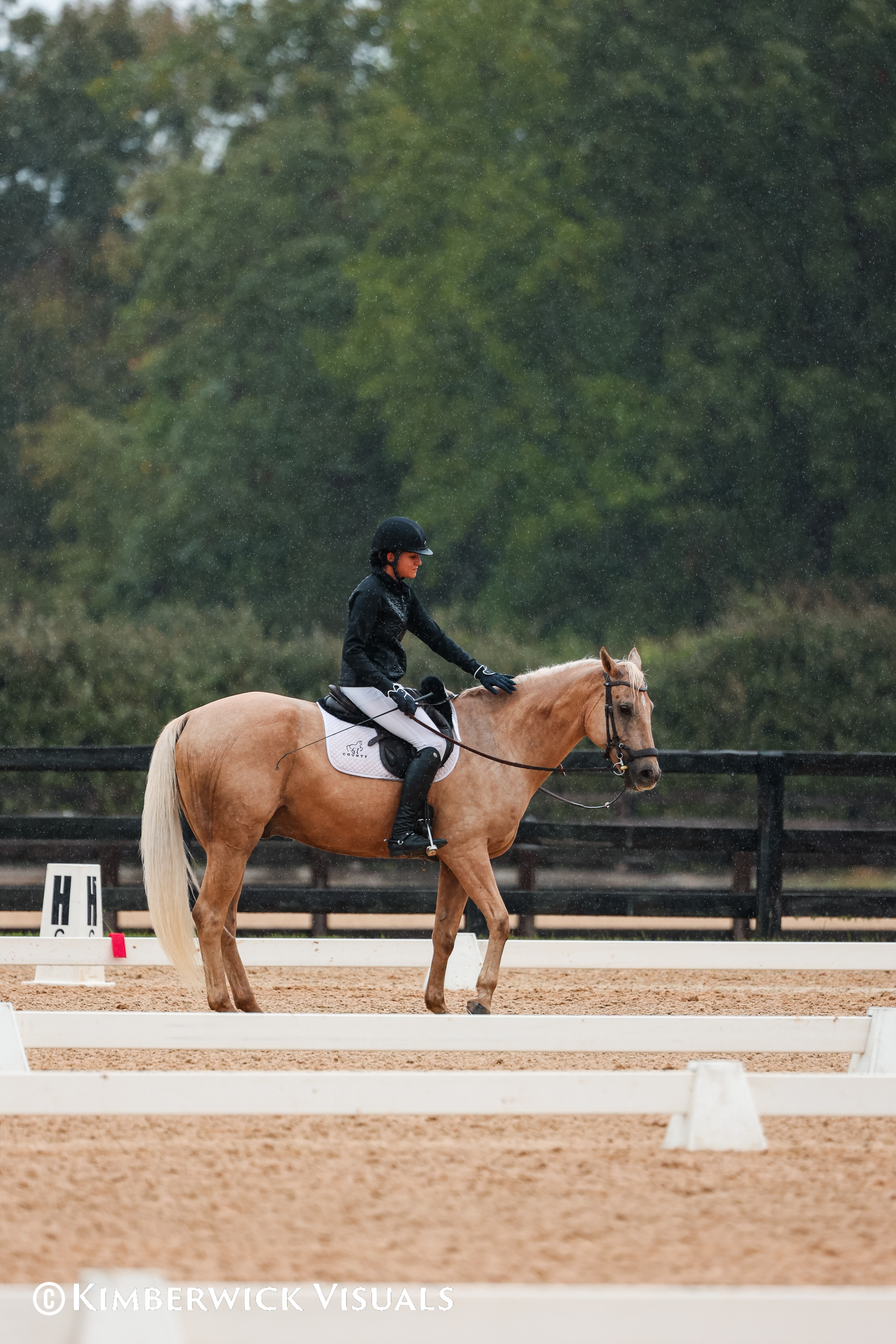 image of volunteers with animals