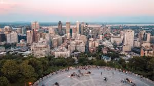 Aerial view of an urban skyline at dusk from a wooded lookout