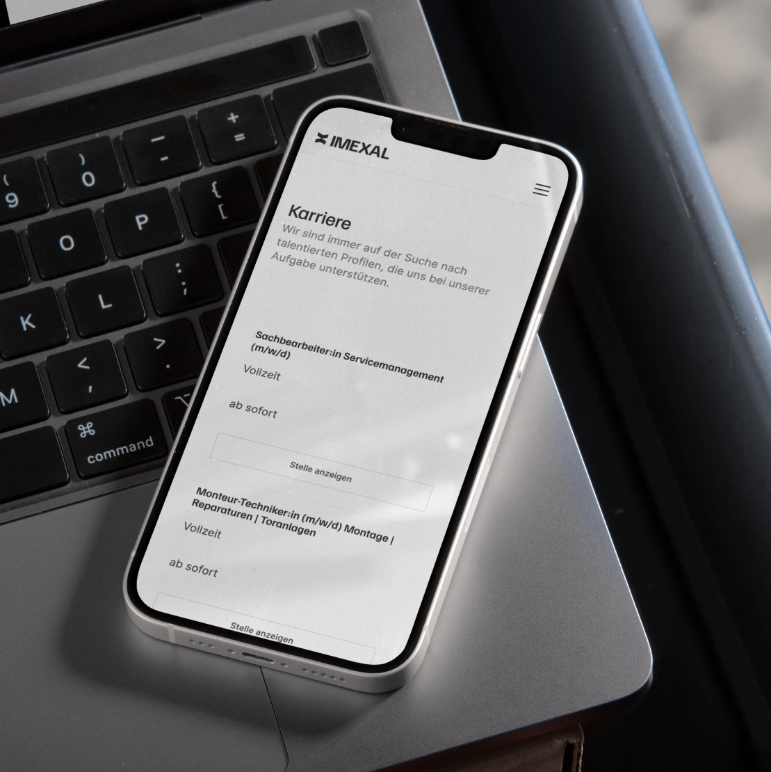 professional mobile website