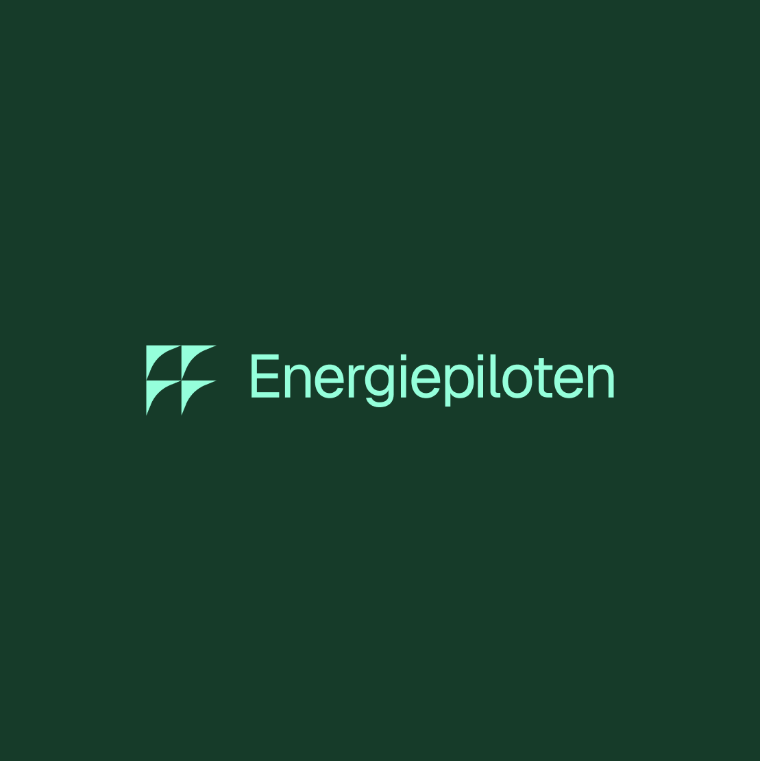 Energiepiloten minimal viable brand