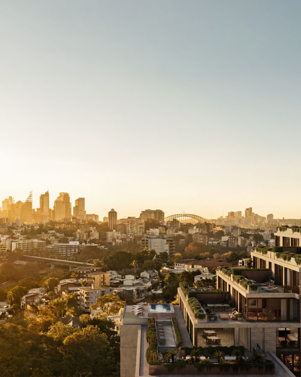 The Loughlin — Edgecliff