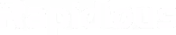 Rapidious wordmark logo for RV dealership pricing platform