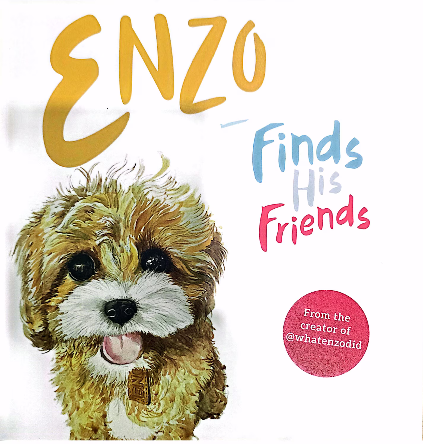 Enzo Finds His Friends Book Cover