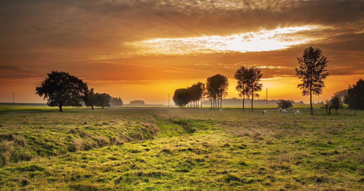 fest celebration denmark