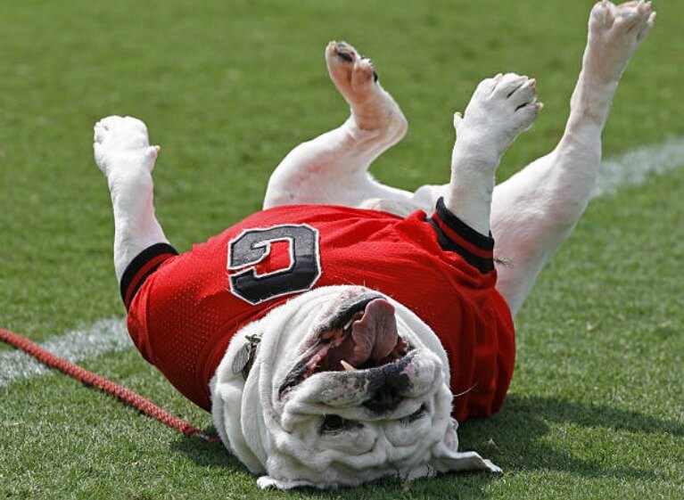 Georgia Bulldogs versus Western Kentucky watch party at Union Fare Athens