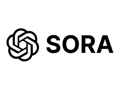 Logo 13