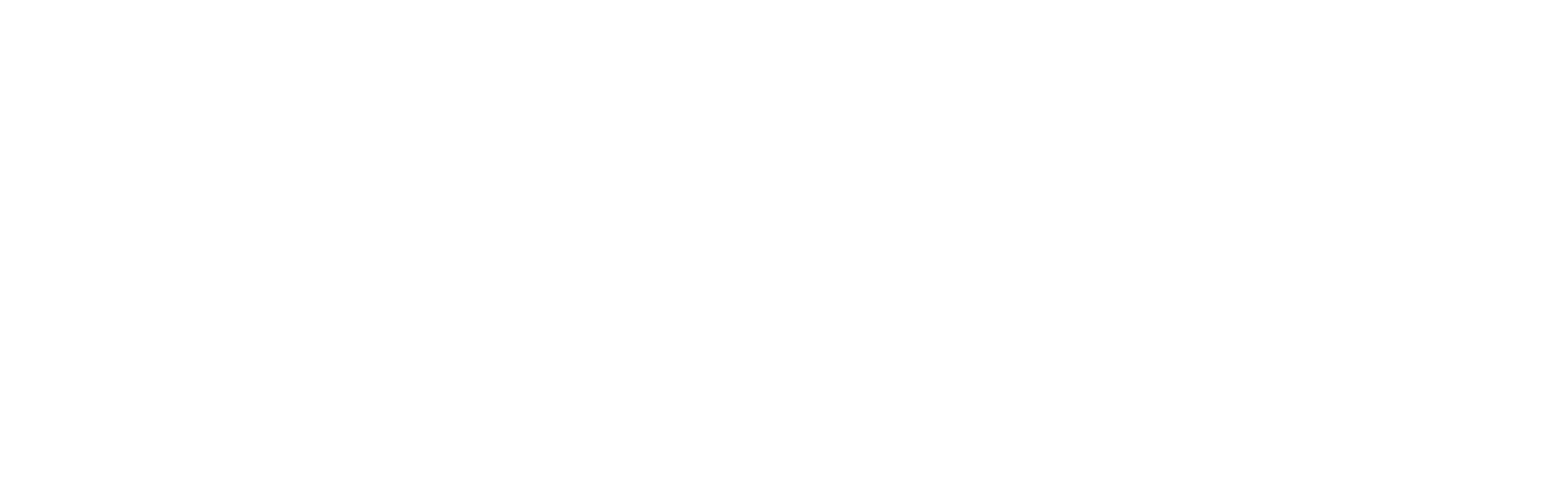Logo Brasserie Domani