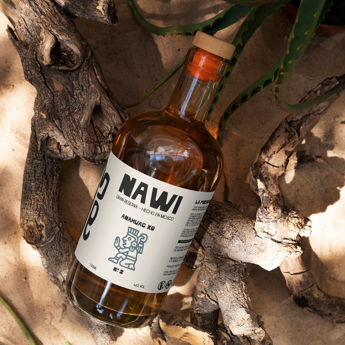 Création de charte graphique et branding différenciant