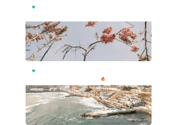 Elevate Your Website: Embed Social Media Effortlessly - Mirror App 4