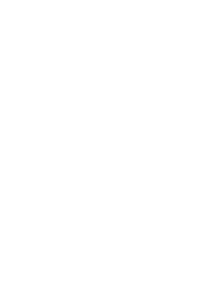 Detriot Tigers