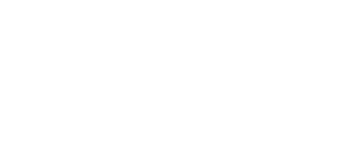 Spark™ 官方標誌