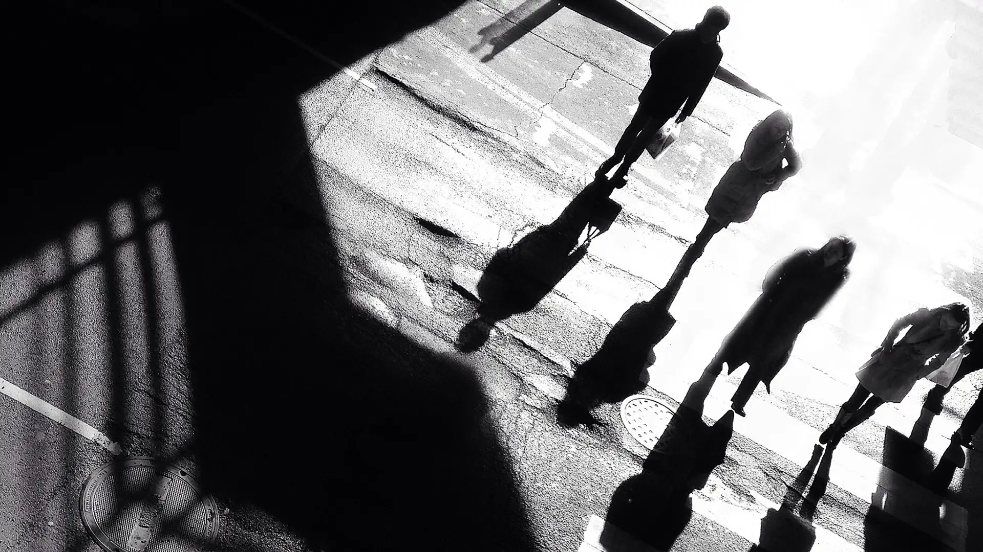 Overhead black and white photo of people walking on a street casting long shadows.