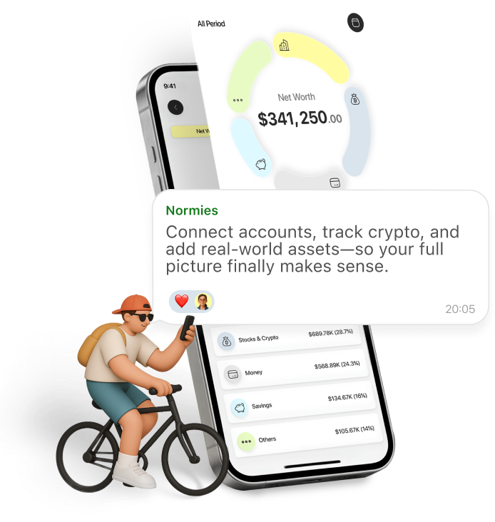 Normies net worth tracker mobile view showing connected accounts and asset breakdown