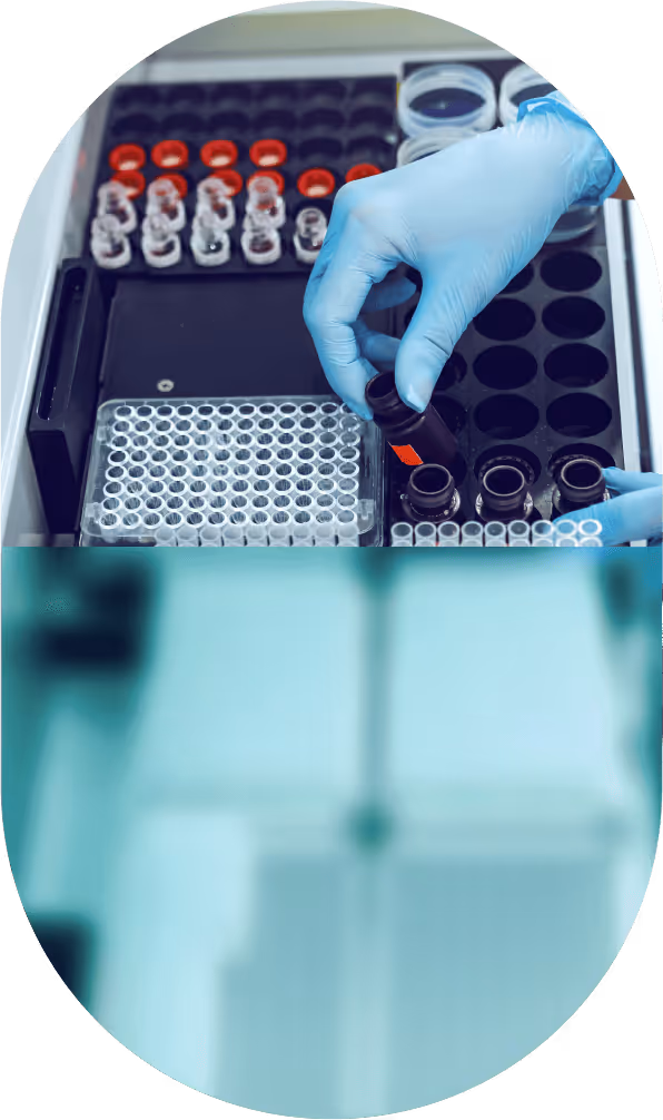 Gloved hand handling a small vial among rows of sample containers and test tubes in a laboratory setting.