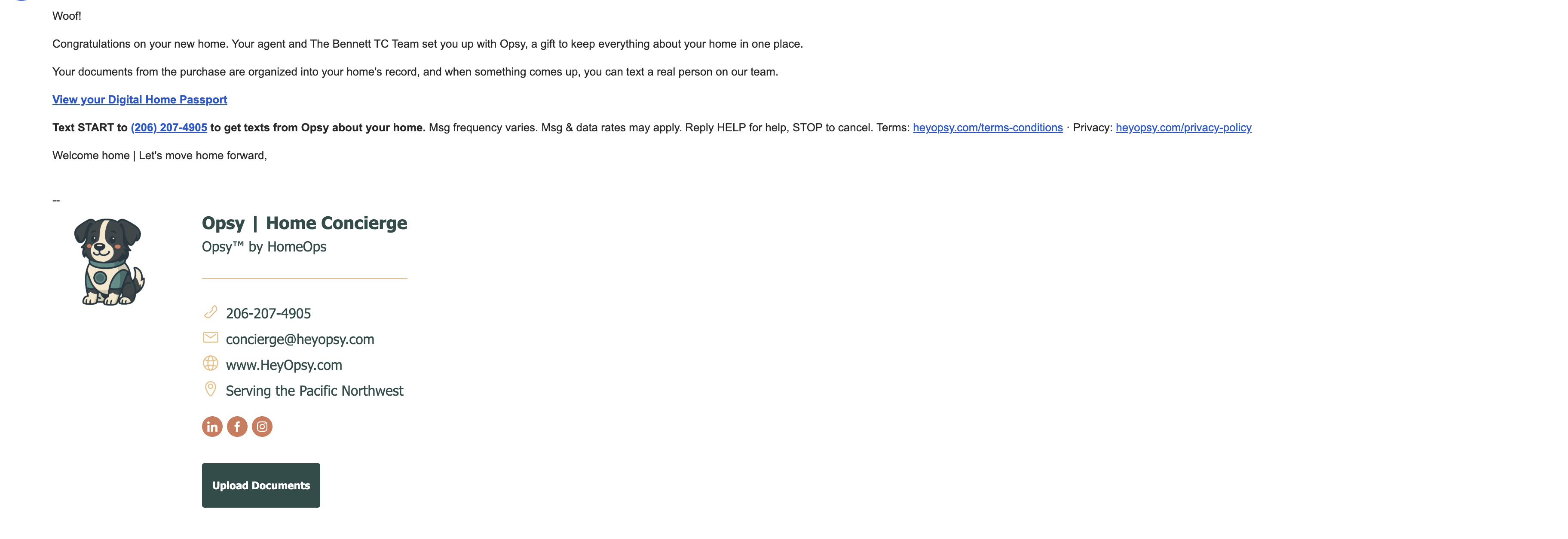 Opsy welcome email showing