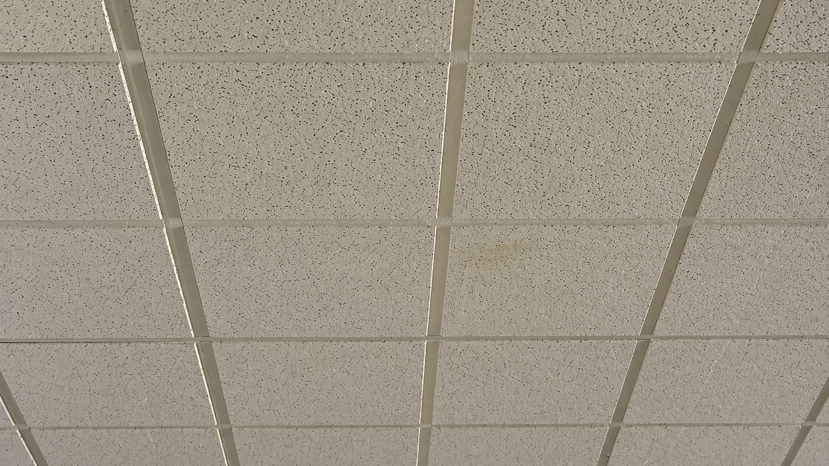 Ceiling with square acoustic tiles arranged in a grid pattern, one tile has a small yellowish stain.