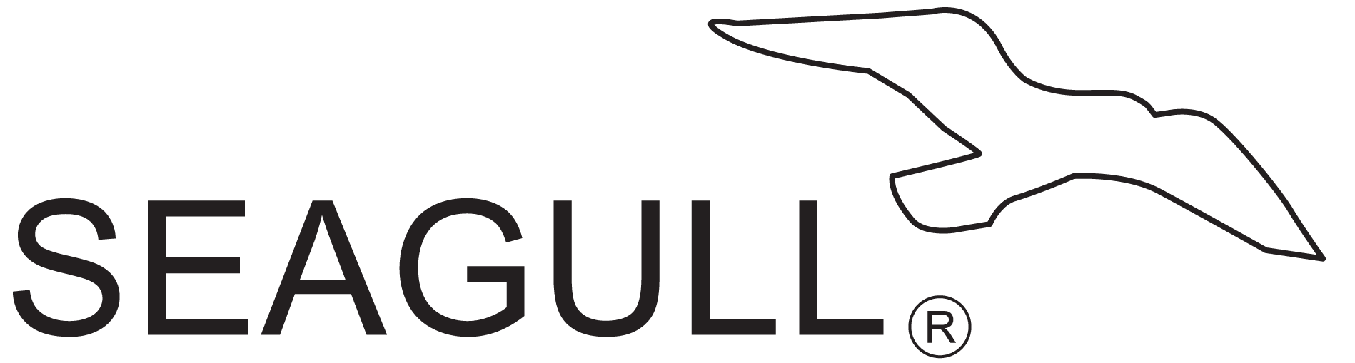Seagull Healthcare logo