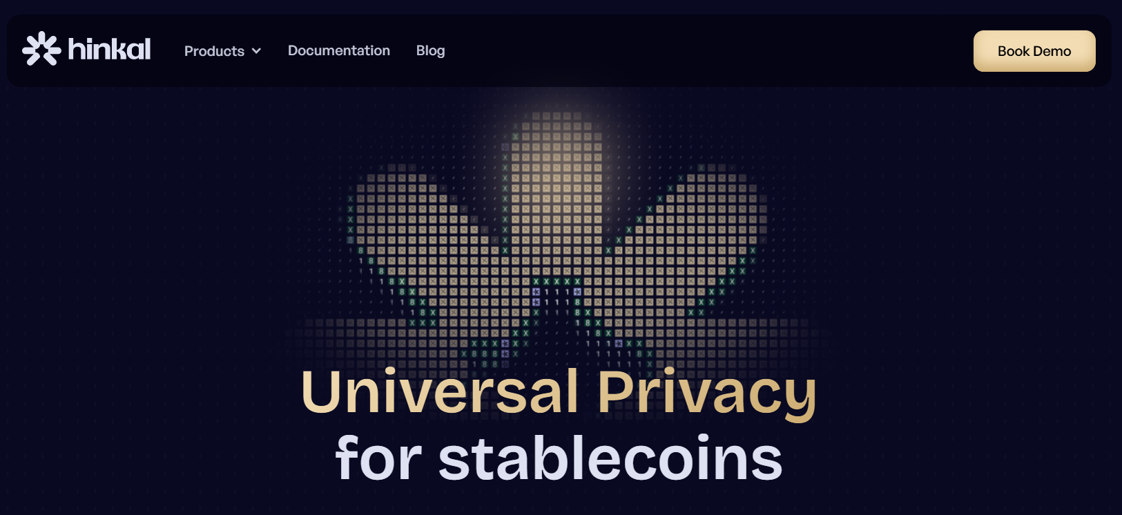 Best Privacy Infrastructure for Tokenized Asset Platforms